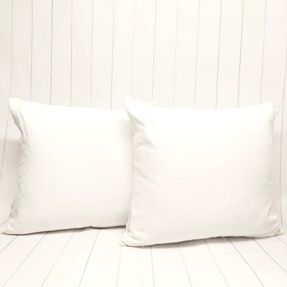 Rae Dunn GOOD MORNING/NIGHT Pillows